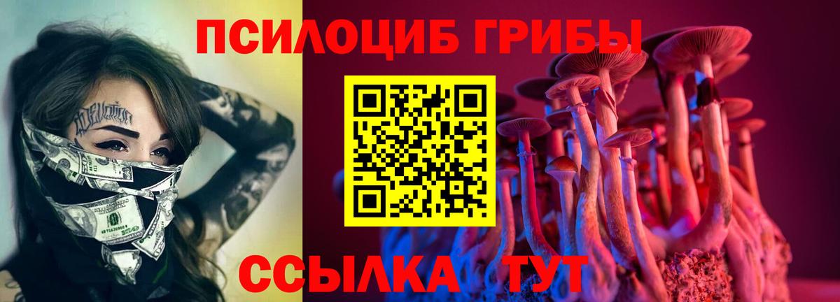 Семилуки  Галлюциногенные грибы ЛСД  Галлюциногенные грибы Psilocybe  Вход с VPN 