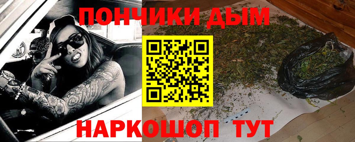 Бошки Шишки тримм  Конопля планчик  Канабис марихуана  Канабис конопля  Вход с VPN  Семилуки 
